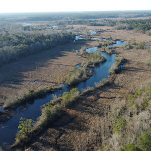 Meet your Posher, Isaac